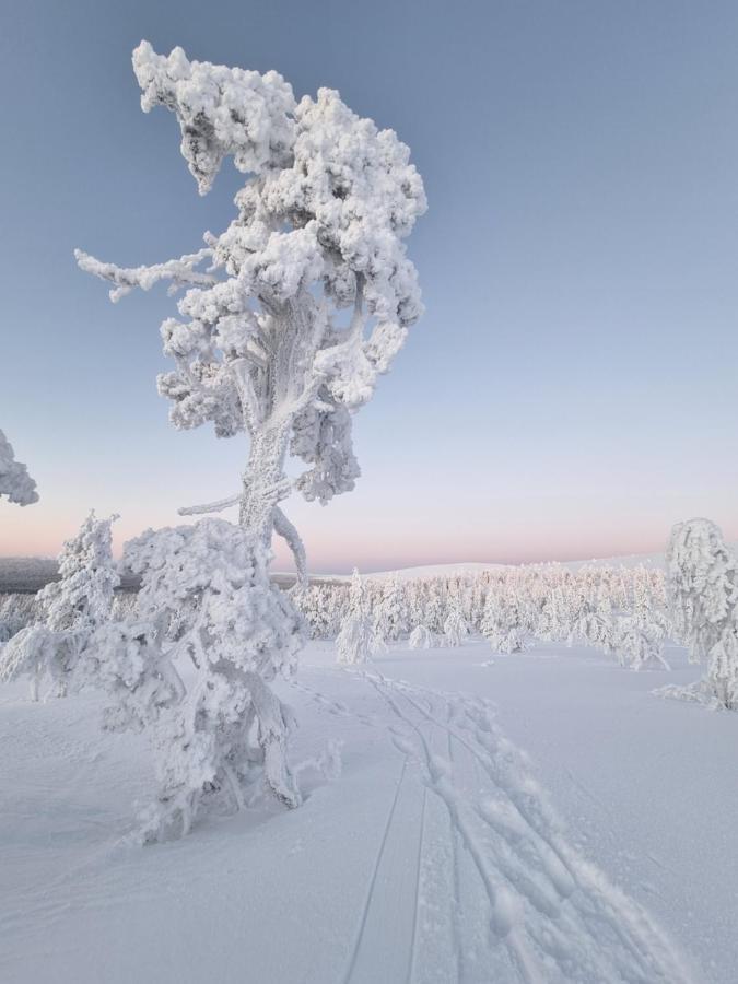 Loimu Vila Äkäslompolo Exterior foto